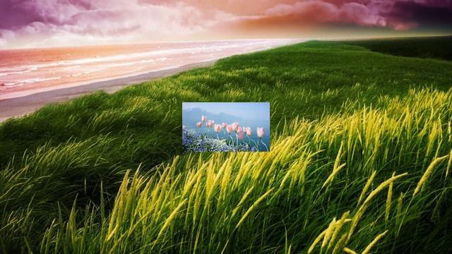 Росные луга