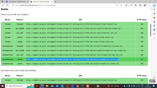From Where Do I Download Chrome Driver For Chrome Browser 115 and Above смотреть онлайн