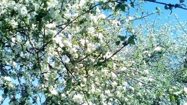 Христианские стихи с глубоким смыслом. смотреть онлайн