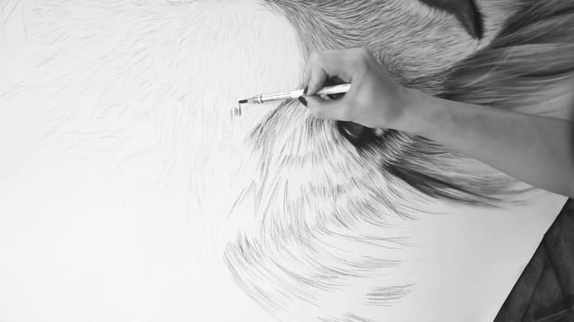 Meditative Charcoal Drawing Process for Peace and Calm смотреть онлайн