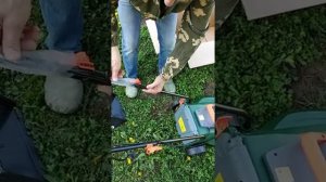 Обзор электрической газонокосилки Oasis GE-16