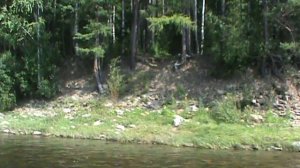 ПО РЕКАМ СИБИРИ. Ч 2.  БАТЛ ДЛИННАЯ ЛОДКА ПРОТИВ ПВХ ЛОДКИ БОЛОТО ХОДЫ НА ДЛИННОЙ НОГЕ.