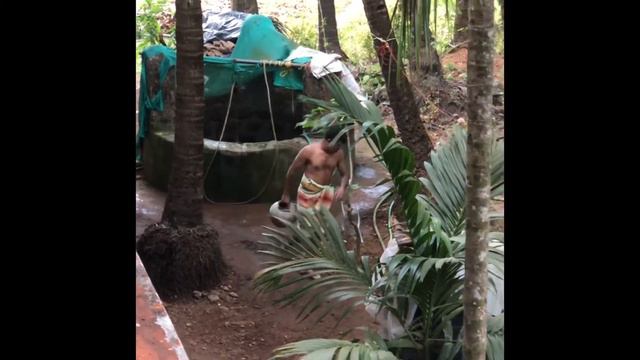 ГОА. Морджим. Жизнь в деревне смотреть онлайн