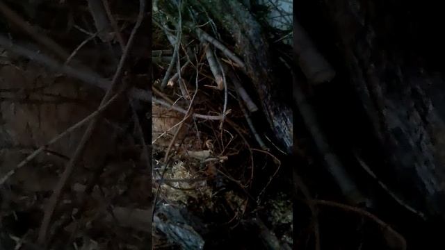 храм Софии, 8-е чудо света, построен императором Константином. смотреть онлайн