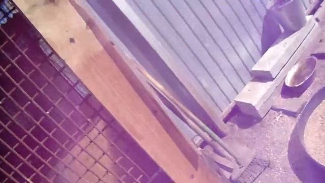 Как построить не большую голубятню для начинающих смотреть онлайн