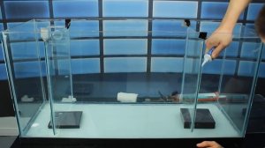 Морской Рифовый Аквариум - САМП