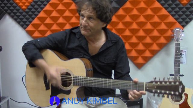 Taylor 356 12 string guitar demo by Andy Kimbel.. "Fast Track to the Guitar" Workshop смотреть онлайн