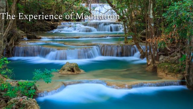 The Experience of Meditation смотреть онлайн