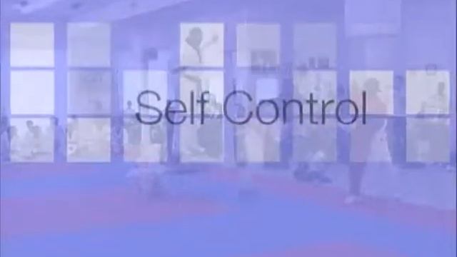 Harlem TKD Commercial 1 смотреть онлайн