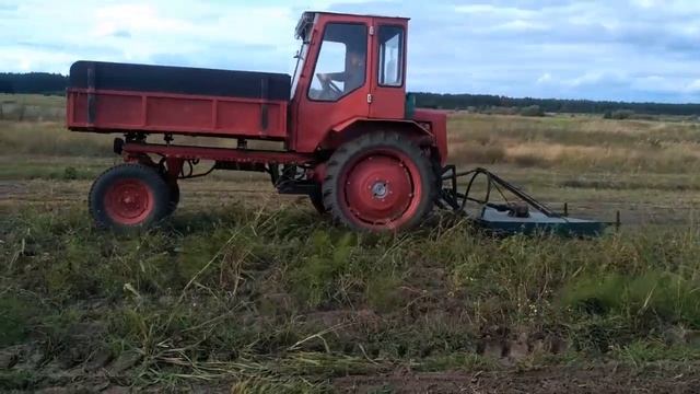 Скашивание ботвы картофеля трактором Т-16 смотреть онлайн