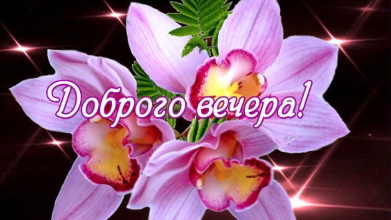 Добрый вечер! Красивая музыкальная открытка для хорошего настроения от всей души смотреть онлайн