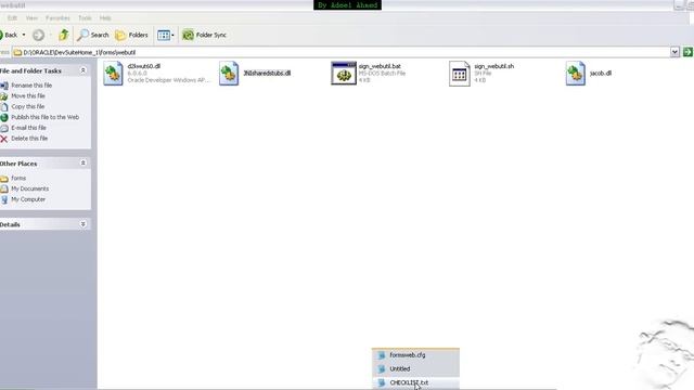 Oracle Developer 10g Webutility Configuration смотреть онлайн