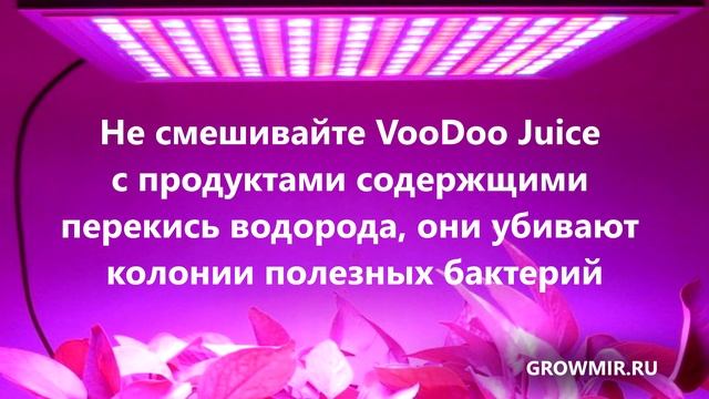 Стимулятор для корней Voodoo Juice смотреть онлайн