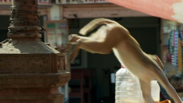 Планета Земля 2 6 серия «Города» (документальный сериал, 2016) смотреть онлайн