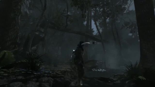 Tomb Raider Gameplay On Nvidia GT750M w/ Overclock benchmark смотреть онлайн
