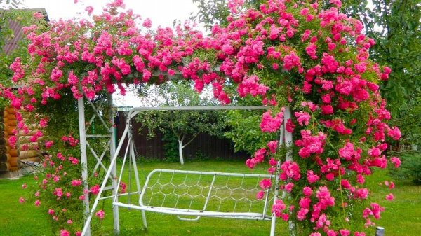 ?Великолепные идеи для декора и ландшафтного дизайна / Decor and landscape design ideas / A - Video