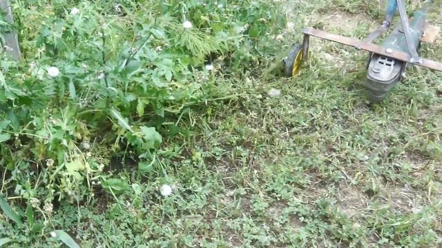GARDEN INVENTIONS YOU HAVE NOT SEEN YET смотреть онлайн