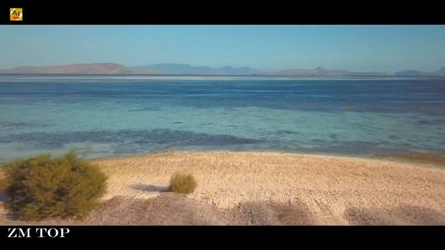 Axel The Rose - Last Night