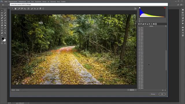 Пресеты для Camera Raw. (Максим Басманов) смотреть онлайн