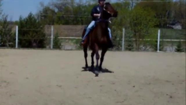 Git R Done "Jake" Barrel Prospect!!! смотреть онлайн