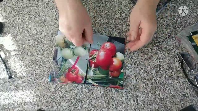Эти сорта томатов никогда вас не подведут! смотреть онлайн