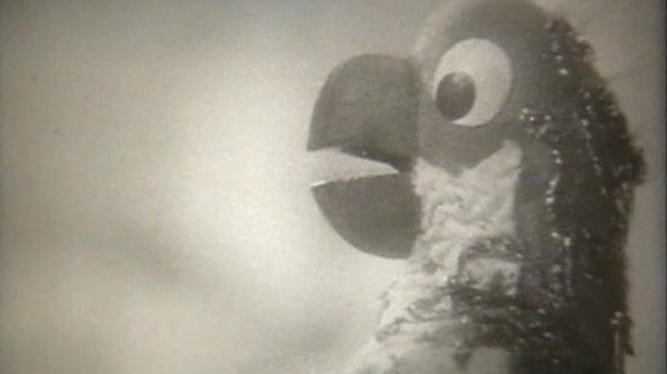 Все, все делают зарядку