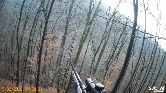 Lov Divlje Svinje: ODSTREL VEPRA ep.5🐗Wild Boar Hunt кабан Yaban Domuz Sanglier Jabalí Cinghiale Ho смотреть онлайн
