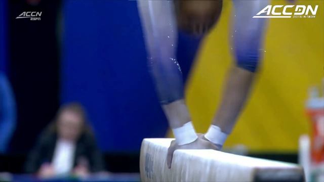 NC State vs. Pitt Full Meet Replay | 2024 ACC Gymnastics смотреть онлайн