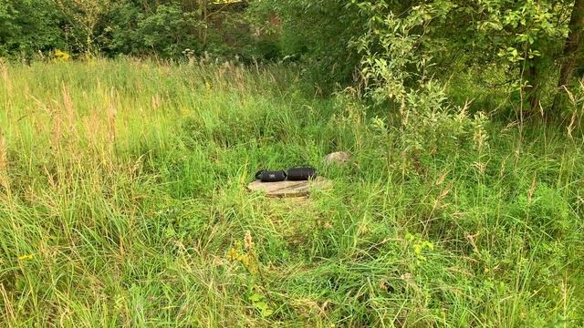 Урал Гагарин и JBL Xtreme 3 смотреть онлайн