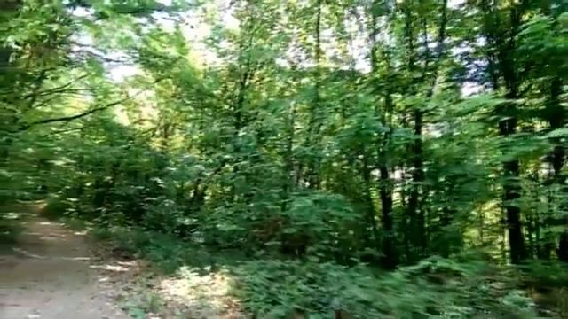 Пусть звенит молва 2 Любовь Чернышова стихи и монтаж, читает автор смотреть онлайн