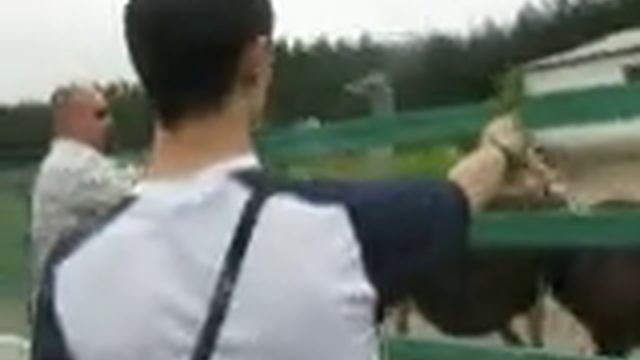 Страус ест траву из рук смотреть онлайн