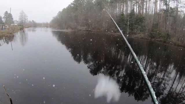 Ловля хариуса на маленькой речке. Поплавочная рыбалка в мае во время половодья смотреть онлайн