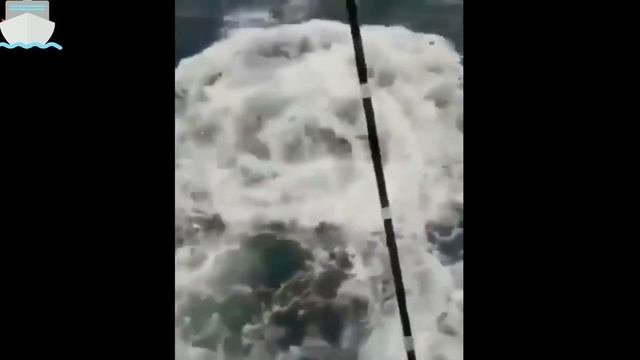 Смешные рыбаки 2020/Девушки на рыбалке/Приколы на рыбалке/Весёлая рыбалка смотреть онлайн