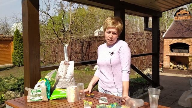 Рассада огурцов ? Секреты правильной посадки / Садовый гид смотреть онлайн