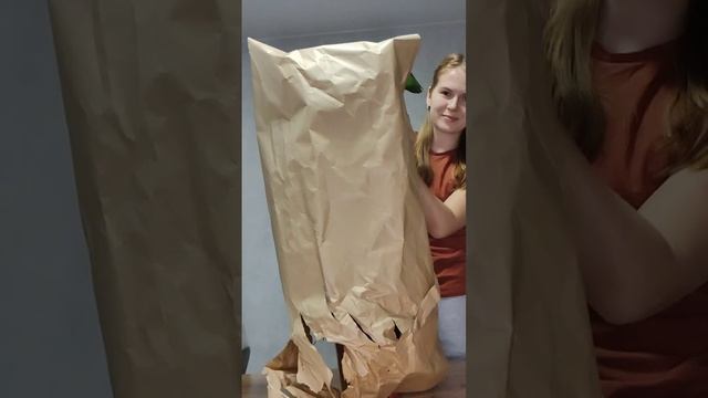 Распаковка нового растения. Стрелиция Николая ? смотреть онлайн