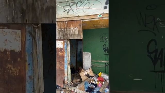 «Сгорим все»: 15 лет заброшенные ларьки с помоями пугают волгоградцев смотреть онлайн