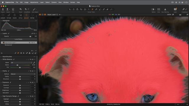 Capture One Pro Tool Introduction | Magic Brush & Magic Eraser смотреть онлайн