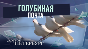 Голубиная почта