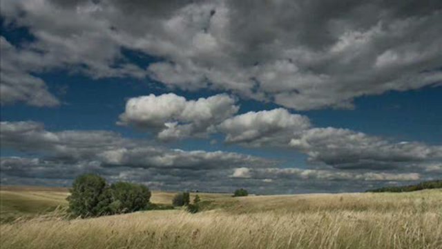 Заказник Белоозёрский