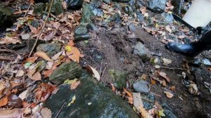 ДОБЫЧА ЗОЛОТА В АВСТРАЛИИ // ВЫСОХШИЙ РУЧЕЙ - ЧАСТЬ 1 // КВИНСЛЕНД