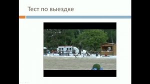 Философия дисциплины «Рабочая Выездка» / Дивные Кони