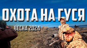 ВЕСЕННЯЯ ОХОТА НА ГУСЯ 2024. МОРЕ ГУСЯ. ИСПЫТАЛИ ВЕЗДЕХОД ЛЕСНИК