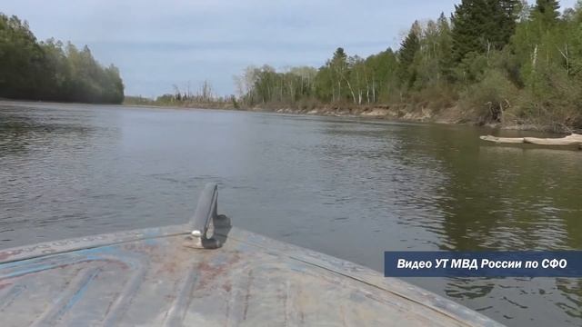 Двум жителям Томской области предъявлено обвинение в незаконной охоте смотреть онлайн