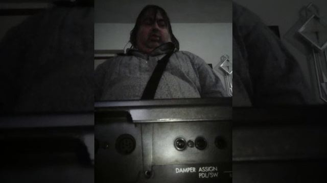 Joze Lesnicar Arr Korg i5s Sekogas Te Sakav смотреть онлайн