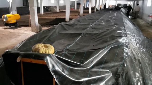 Тест Осушителя Воздуха Master DH92 для сушки вермикомпоста и снижения влажности воздуха смотреть онлайн