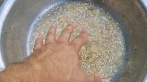Только из таких огурцов берите семена! ДЛЯ ЛУЧШЕГО УРОЖАЯ!