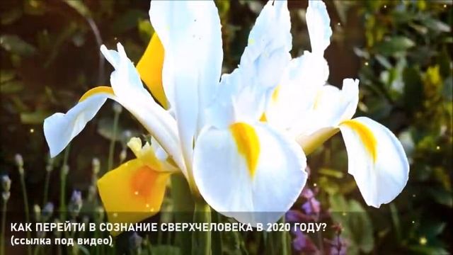 ?ВЫ теперь можете восстановить МИР-ченнелинг смотреть онлайн