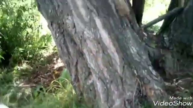 Стройка крыши летней веранды и стройка зоны отдыха смотреть онлайн