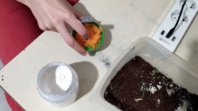 Кая могла умереть! смотреть онлайн