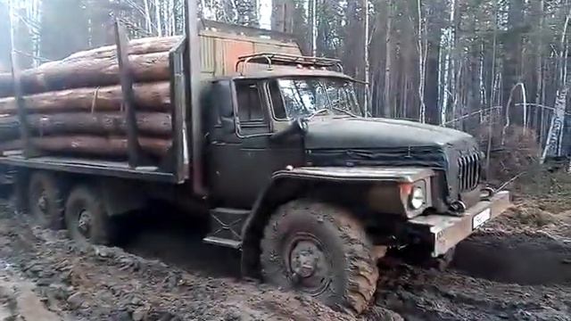 Урал-лесовоз 4320 ЯМЗ 238 смотреть онлайн
